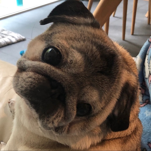 Meet your Posher - Picture 1 of 1